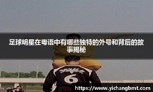 江南体育官方网站